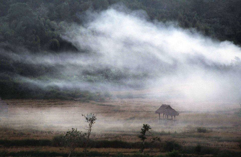 Ben Davies Tribes in the Mist